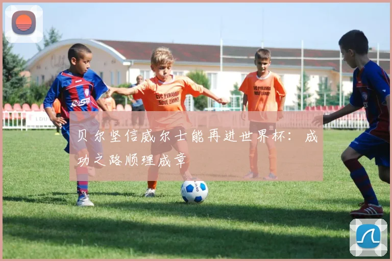 贝尔坚信威尔士能再进世界杯：成功之路顺理成章