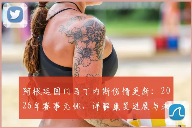 阿根廷国门马丁内斯伤情更新:2026年赛事无忧,详解康复进展与未来赛程